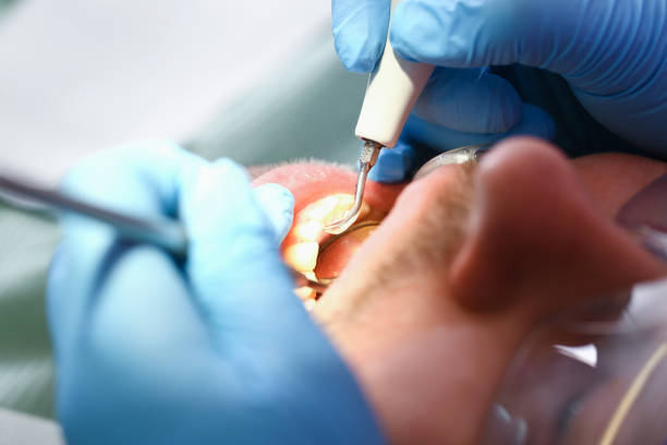 Best Emergency Pediatric Dental Care in Bigfork, MT