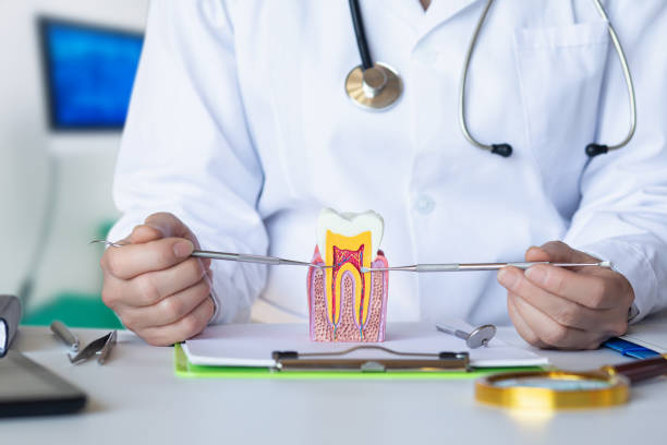 Best Emergency Root Canal Therapy in Bigfork, MT